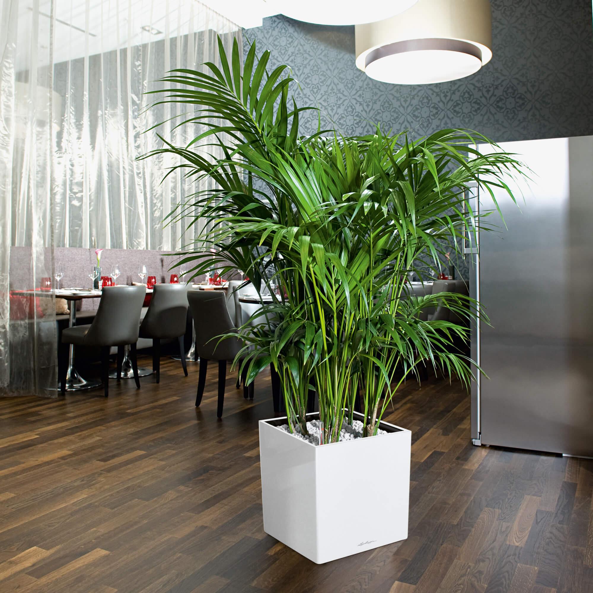 le_cube40_product_addi_01